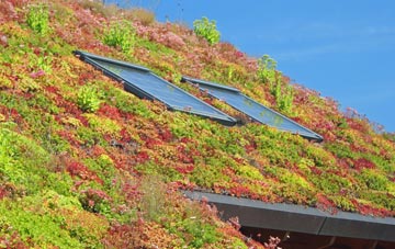 Lambley living roof systems
